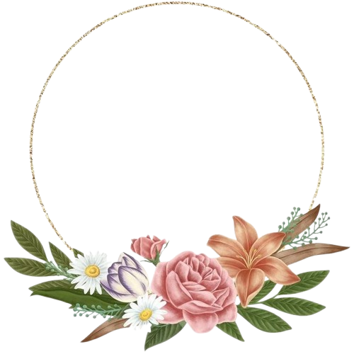 download__2_-removebg-preview